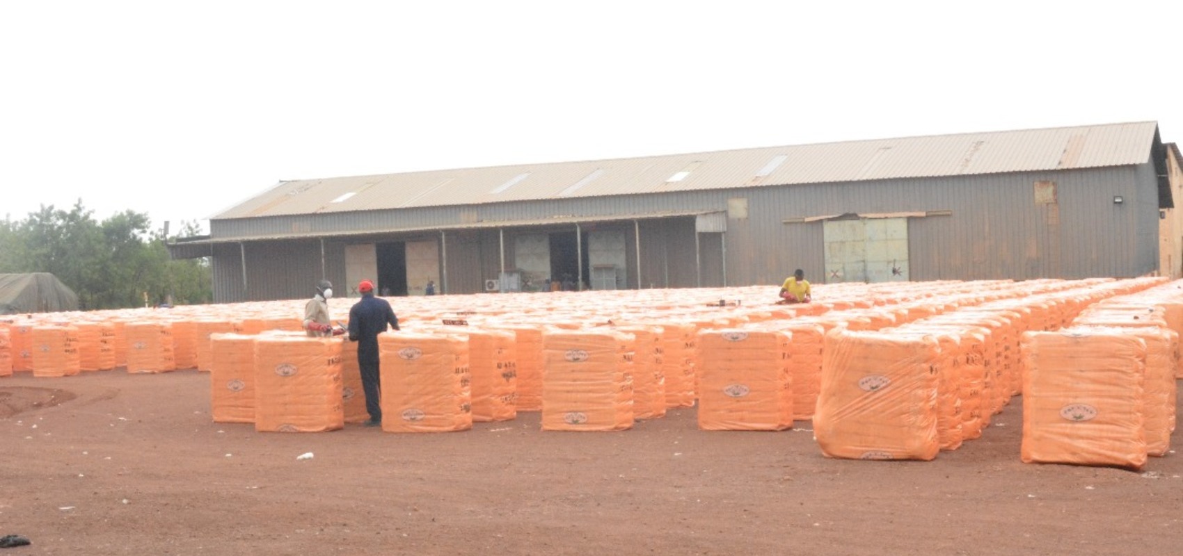 WhatsApp Image 2024-10-15 at 12.05.45 (4) (1)