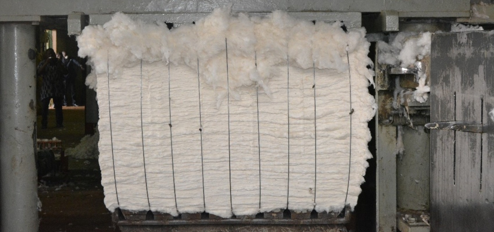 WhatsApp Image 2024-10-15 at 12.05.45 (6) (1)