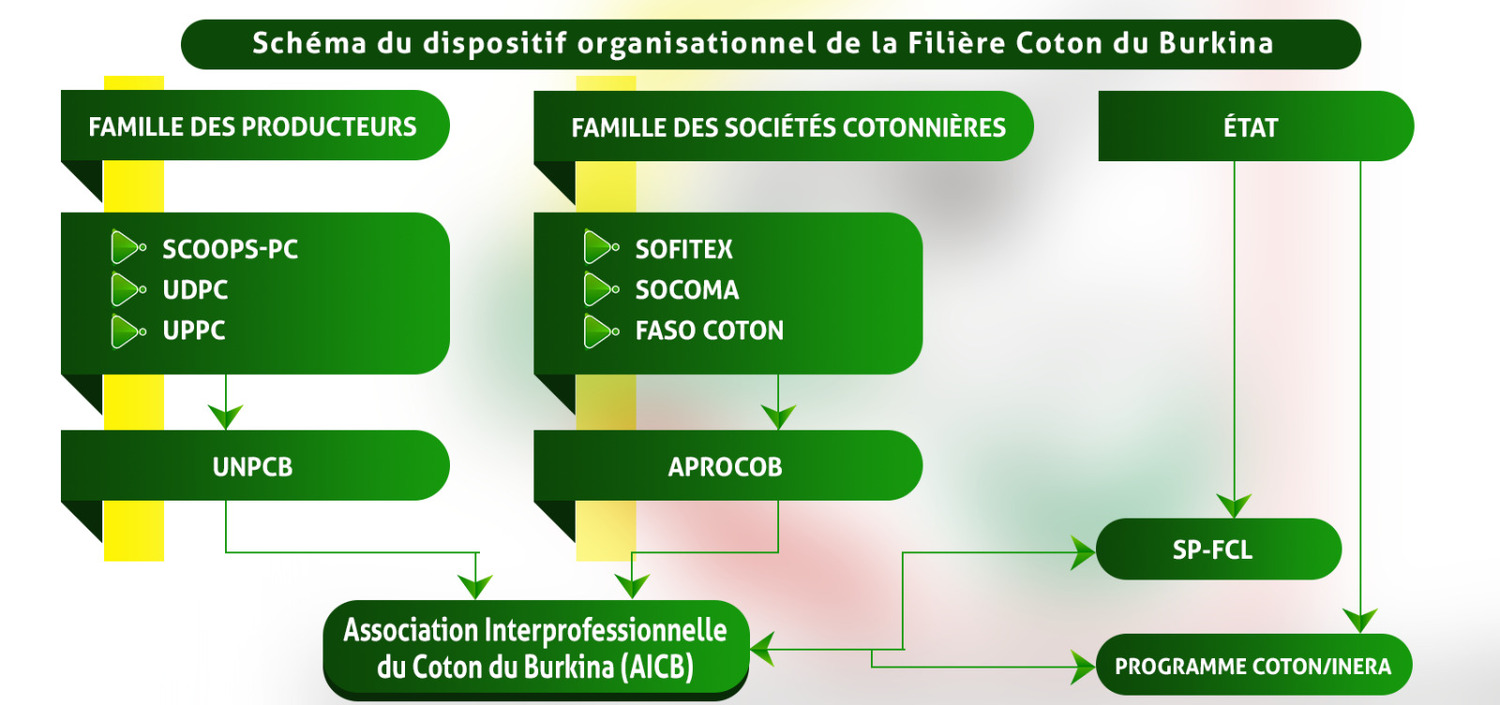 WhatsApp Image 2024-10-20 at 11.04.57 (3)