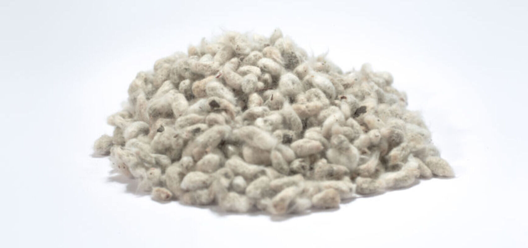 semilla-de-algodon-nafosa-1 (4)